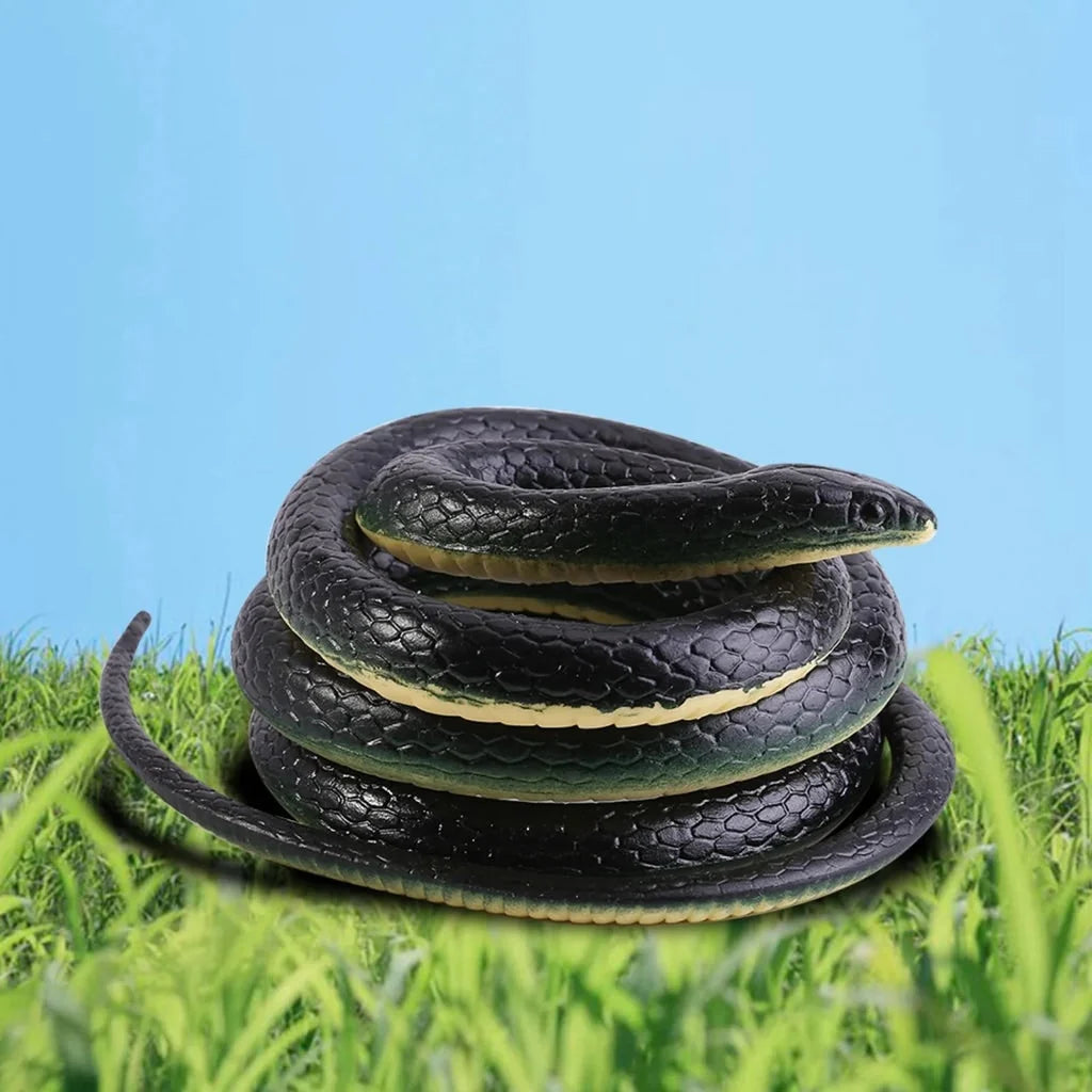 Snake Display Coiled Pose Matte Finish