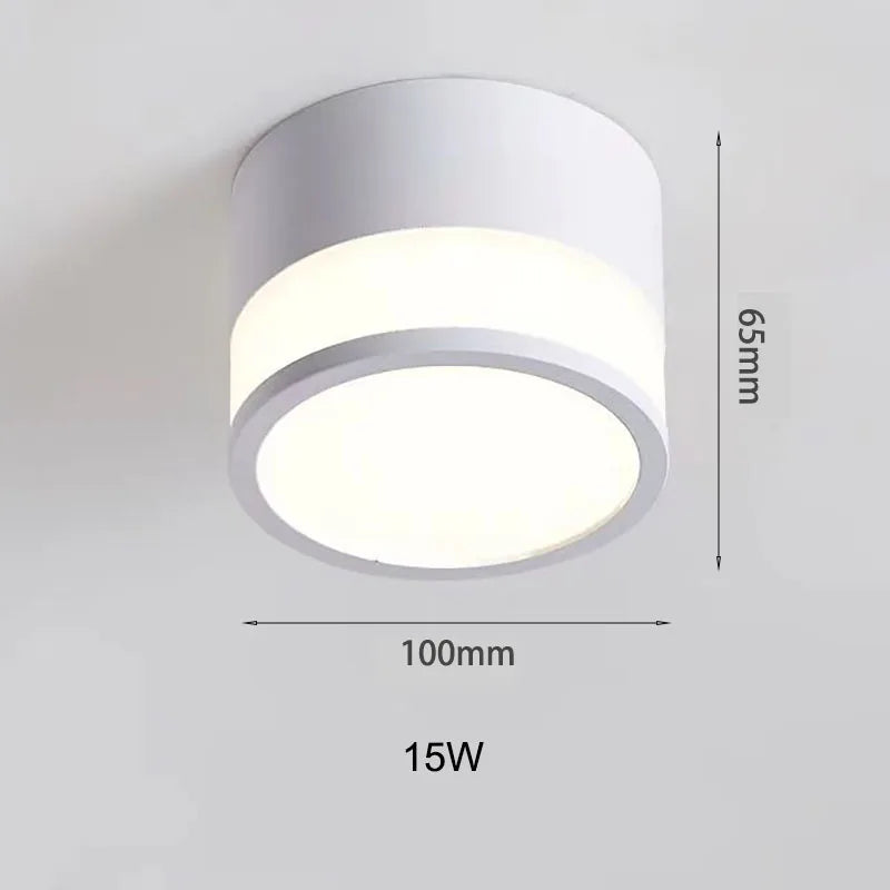 Surface LED Downlight Tight Beam No Ceiling Cut