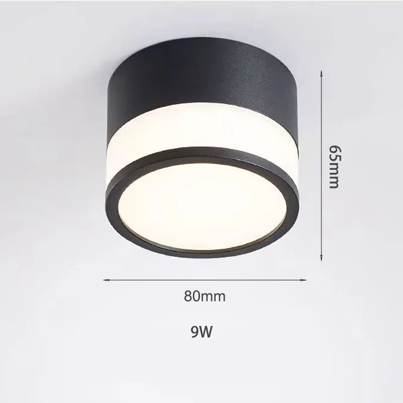 Surface LED Downlight Tight Beam No Ceiling Cut