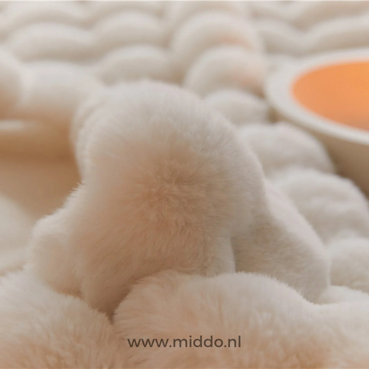Teddy Blanket Extra Thick Plush Machine Washable