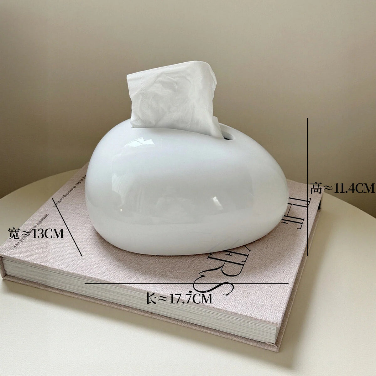 Tissue Box Holder Modern Abstract Glossy Finish Compact Size