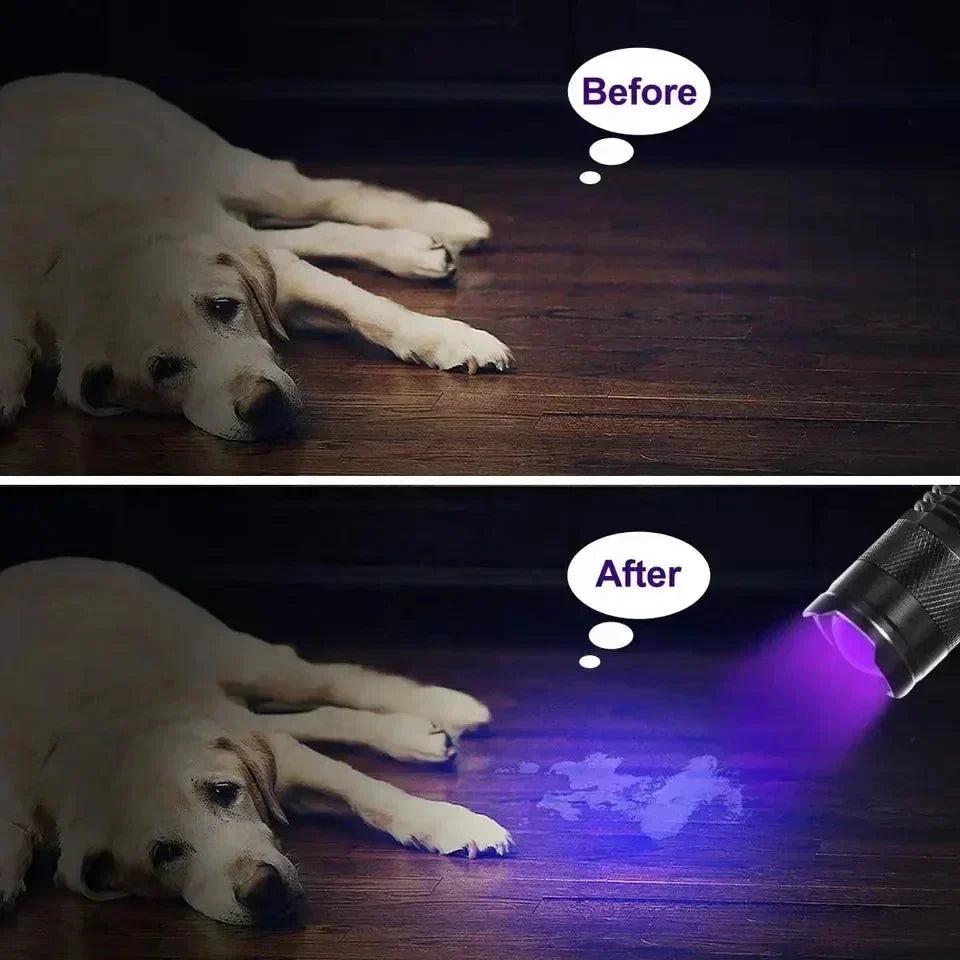 UV Flashlight Stain Detection 395 nm Aluminium Alloy