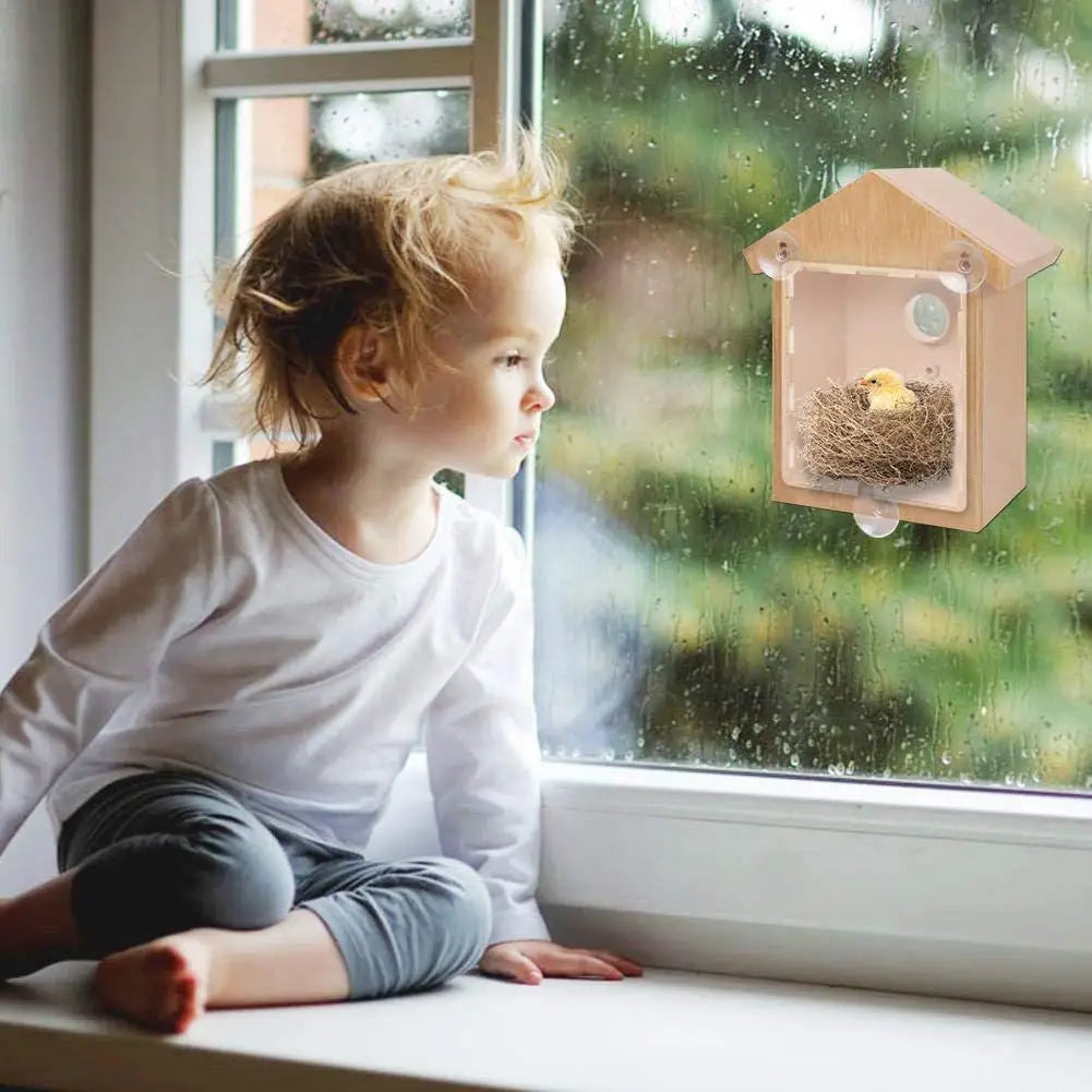 Window Bird Feeder Suction Cup Mount Easy-Clean Design