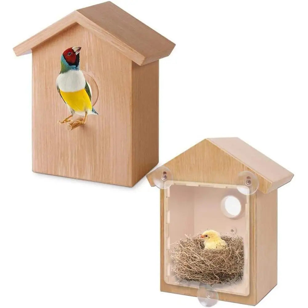 Window Bird Feeder Suction Cup Mount Easy-Clean Design