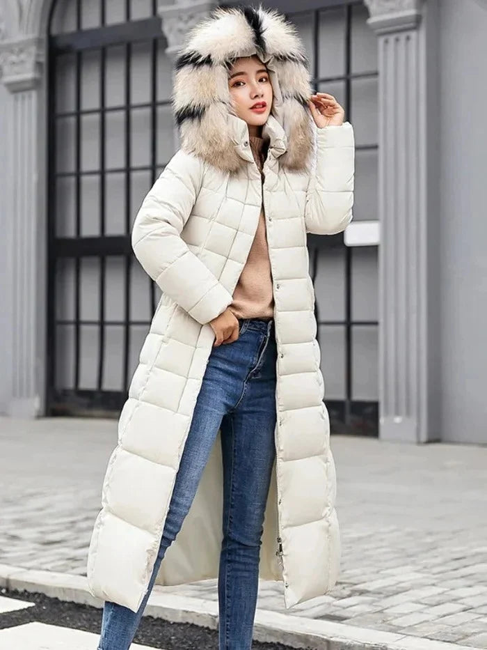 Womens Jacket Regular Fit Long Sleeve