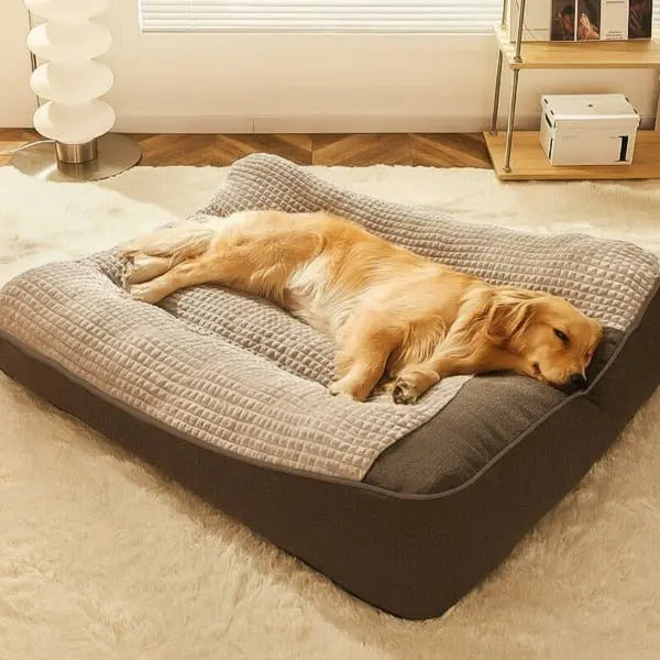 Orthopedic Dog Bed for Large Breeds – Padded Edges for Comfort