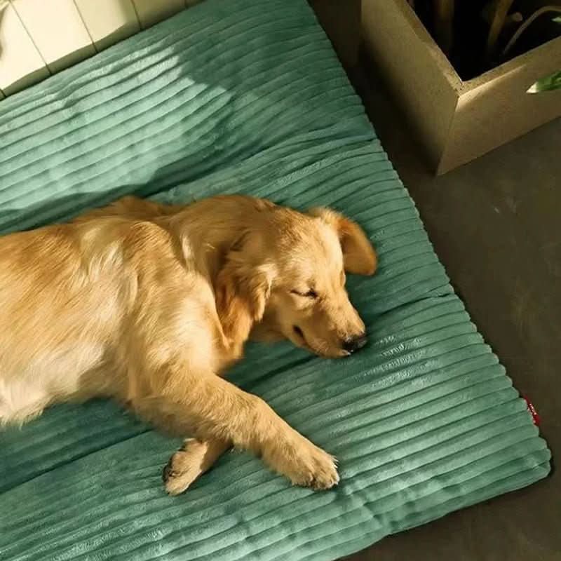 Soft Orthopedic Dog Bed with Joint Support Cushion