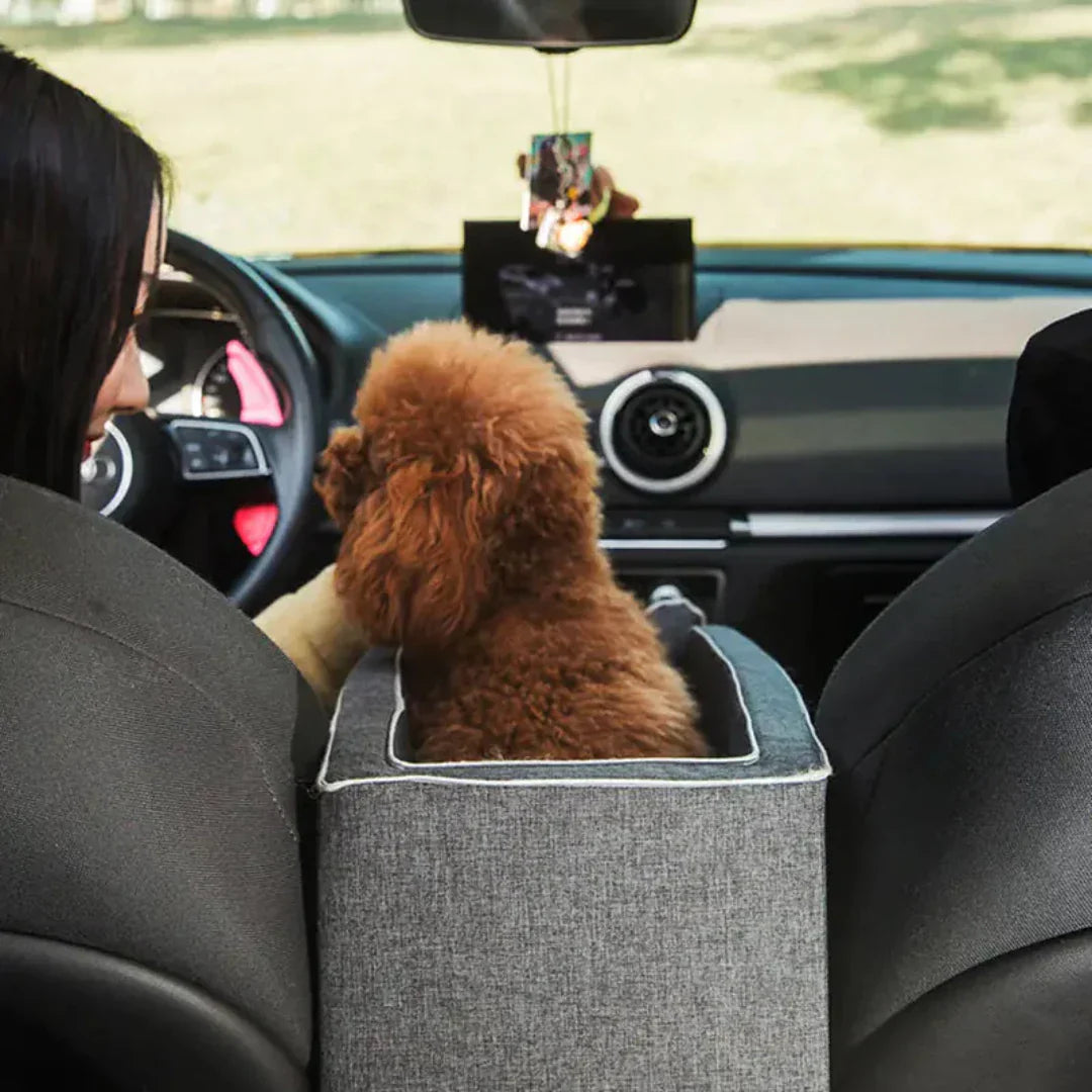 Comfy Companion: Elevated Travel Seat for Small Dogs