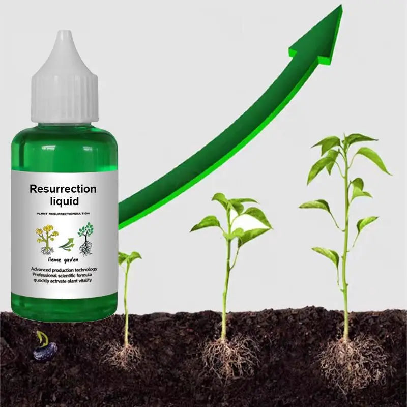 Liquid Activator for Plants and Flowers – Enhanced Root Growth and Blooms