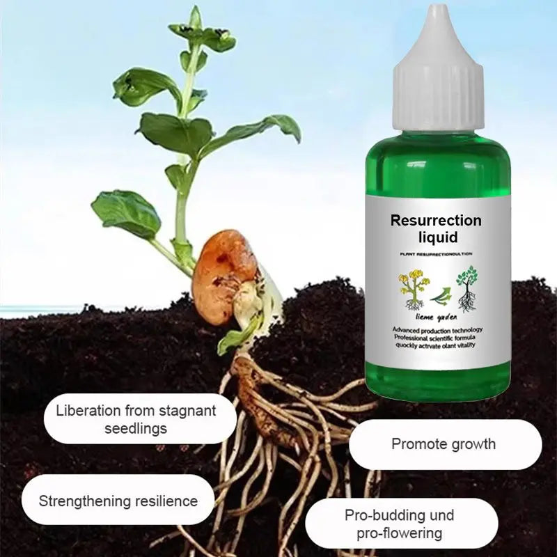 Liquid Activator for Plants and Flowers – Enhanced Root Growth and Blooms