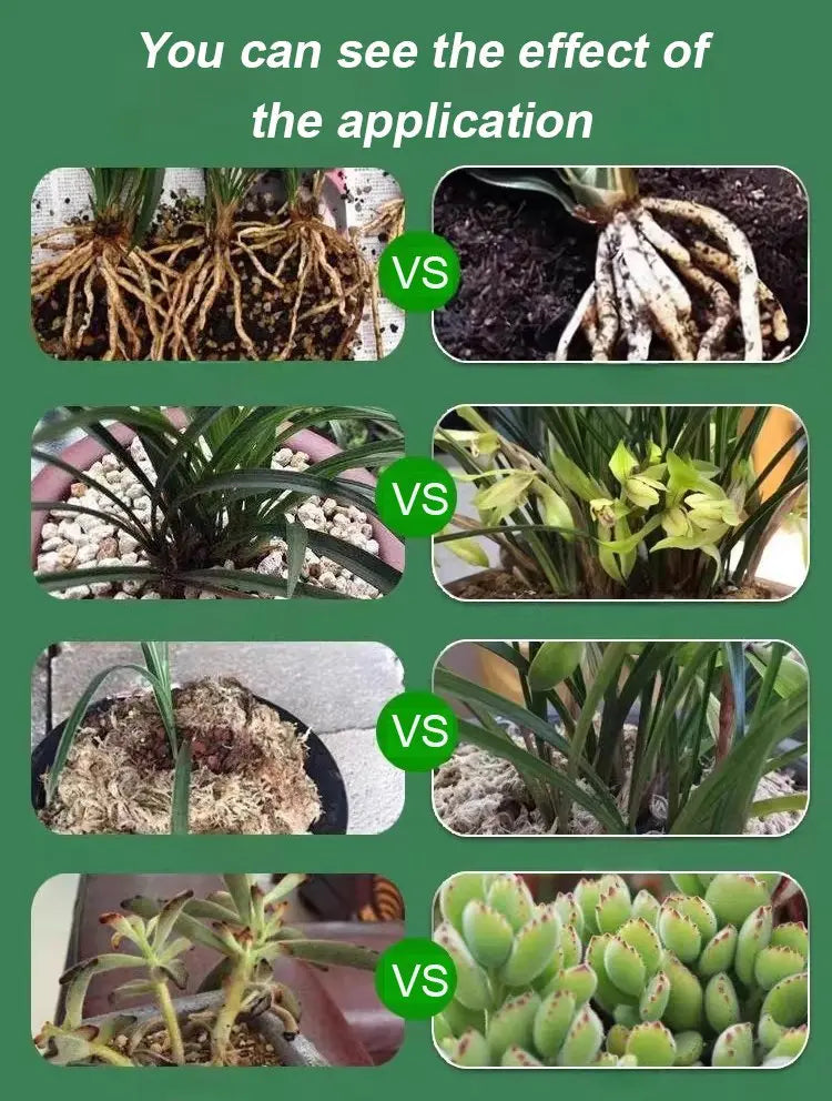 Liquid Activator for Plants and Flowers – Enhanced Root Growth and Blooms