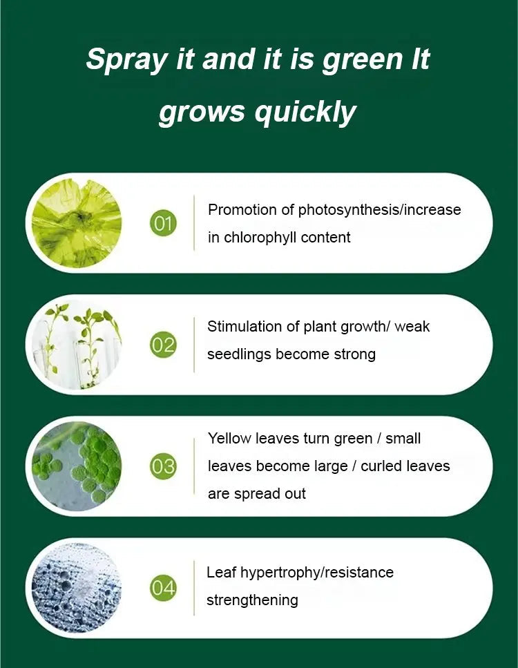 Liquid Activator for Plants and Flowers – Enhanced Root Growth and Blooms
