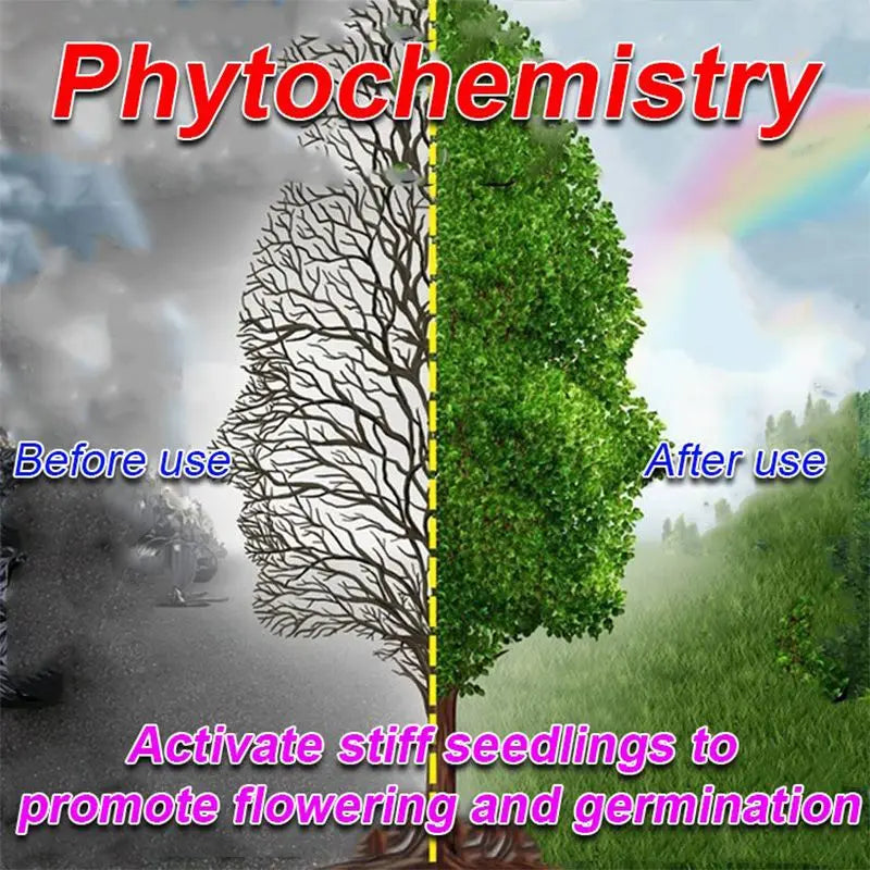 Liquid Activator for Plants and Flowers – Enhanced Root Growth and Blooms