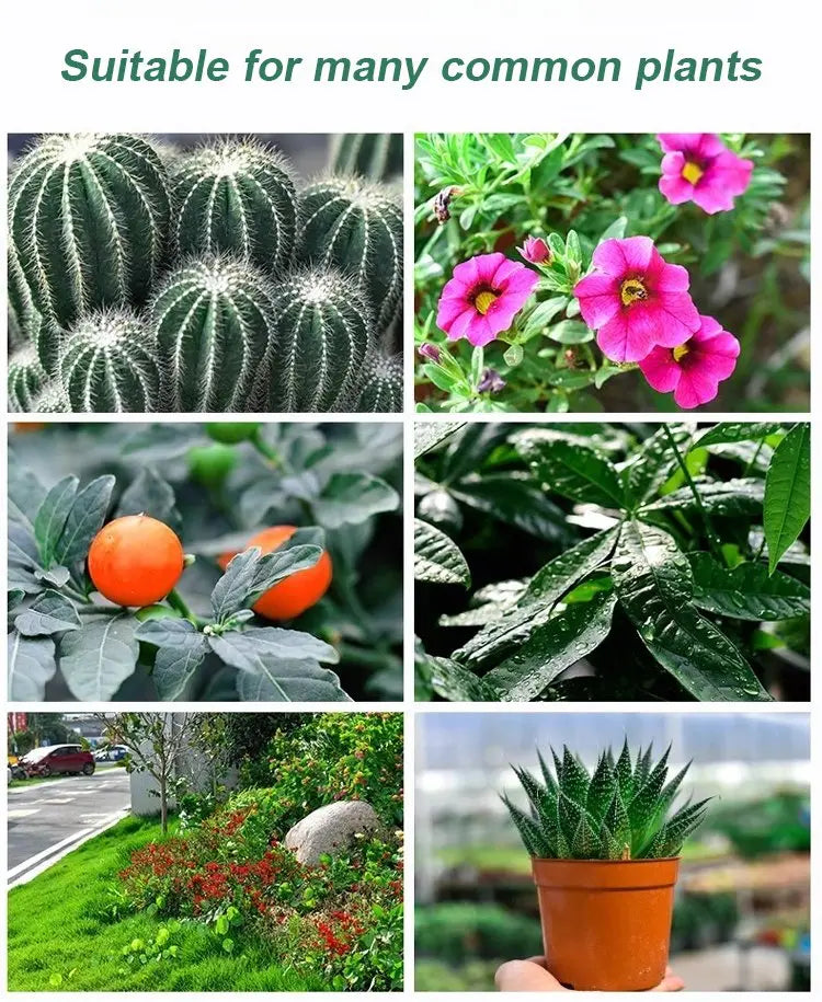 Liquid Activator for Plants and Flowers – Enhanced Root Growth and Blooms