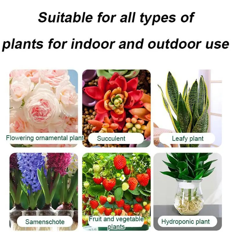 Liquid Activator for Plants and Flowers – Enhanced Root Growth and Blooms