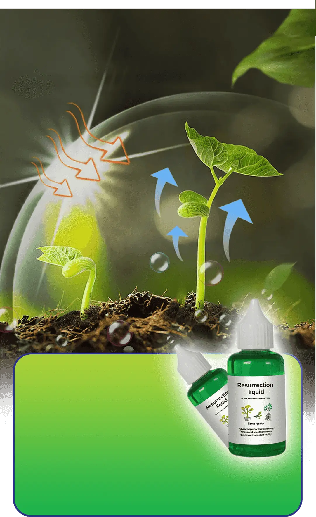 Liquid Activator for Plants and Flowers – Enhanced Root Growth and Blooms
