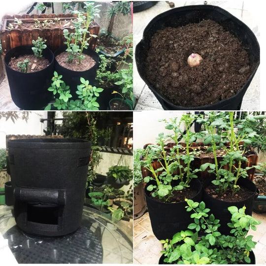 Breathable Fabric Planting Bag with Velcro Harvest Flap