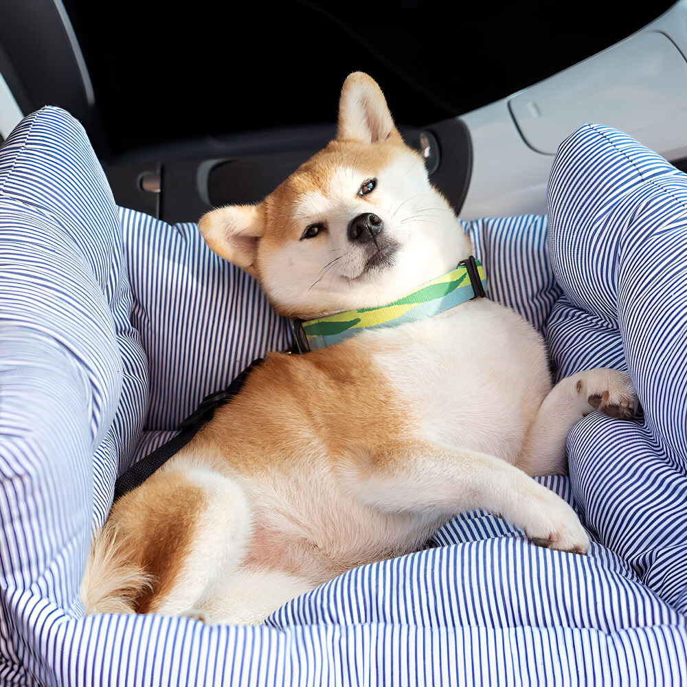 Pet Car Seat – Secure Travel, Tidy Vehicle