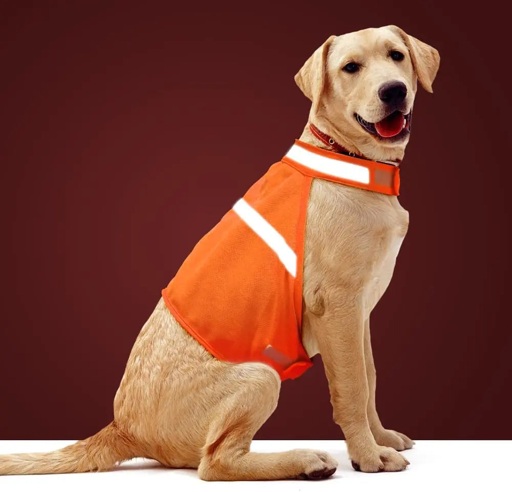 High Visibility Dog Vest for Evening Walks – Reflective Safety Gear