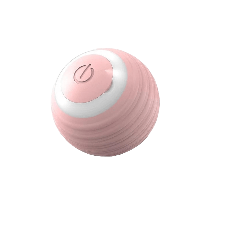 Rechargeable Playful Paws Ball for Dogs