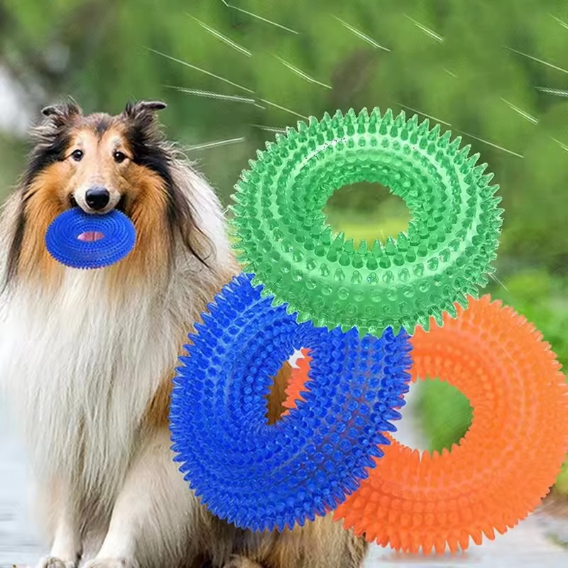 Textured Chew Ring for Dogs with Squeaker and Thorn-Like Surface