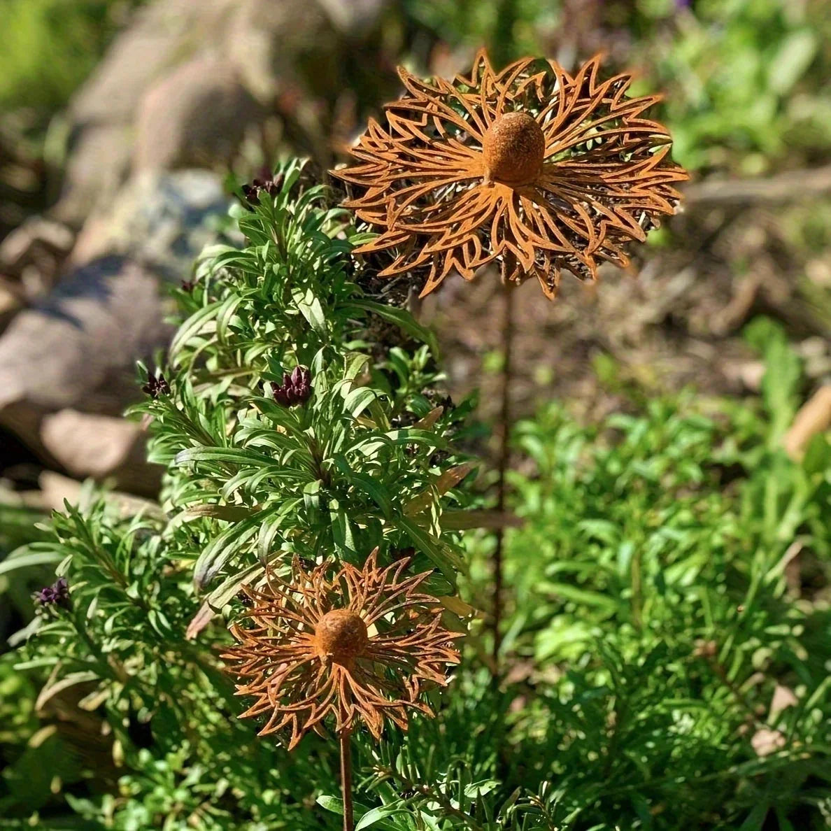 Rust-Finished Iron Flower Garden Stake