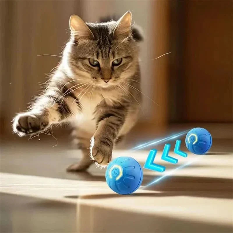Rechargeable Playful Paws Ball for Dogs