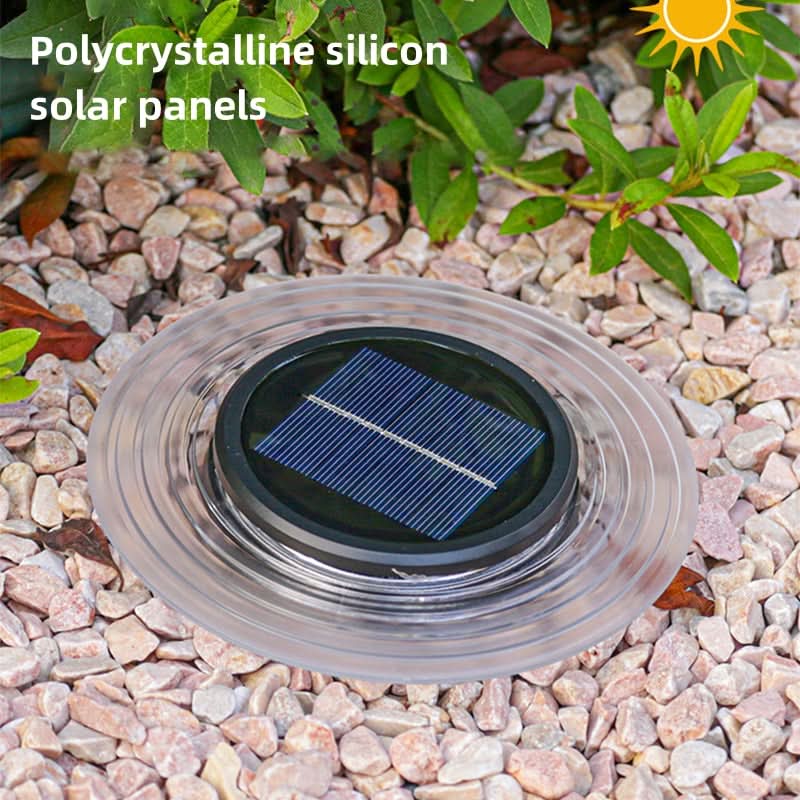 Solar Garden Path Lights for Evening Outdoor Ambiance