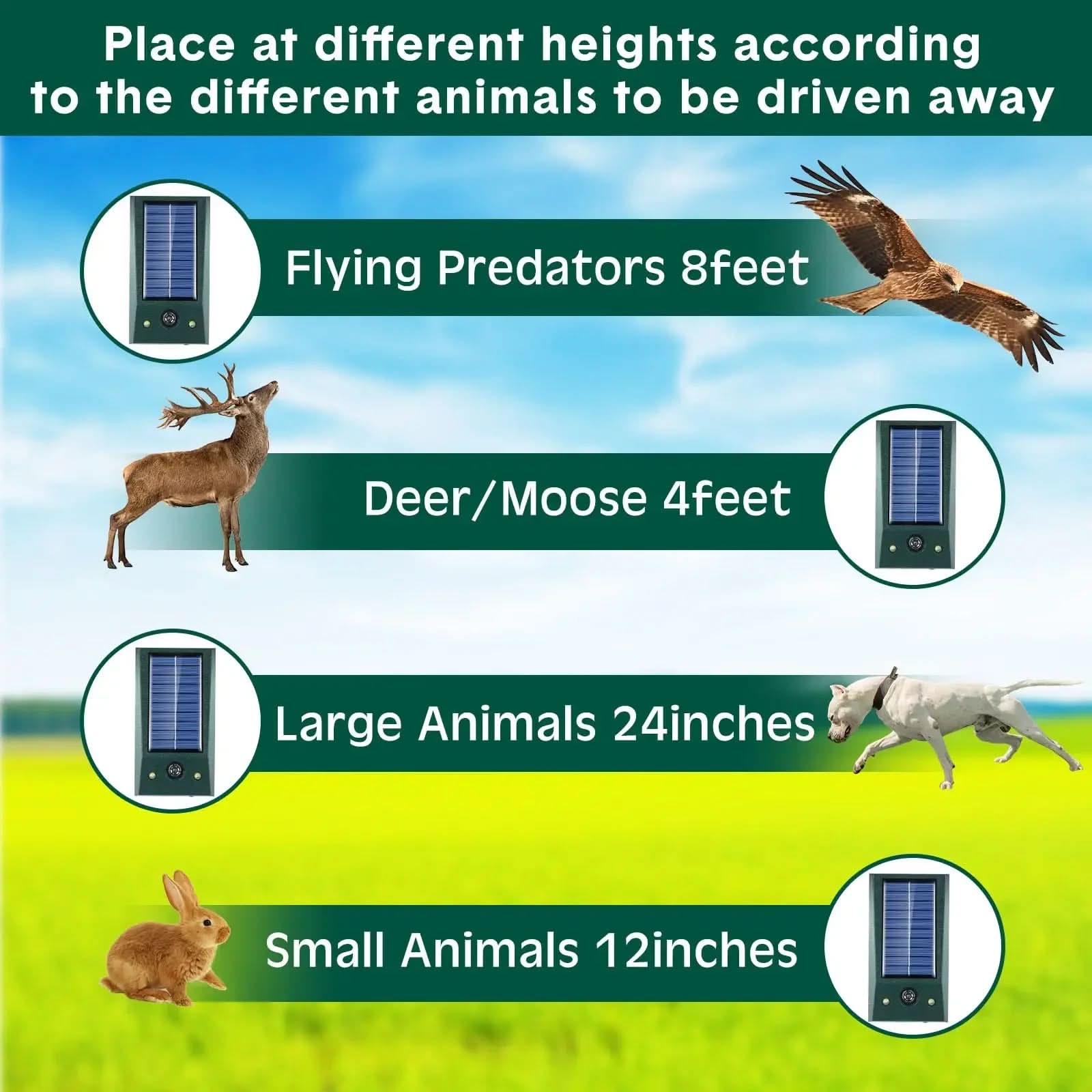 Motion-Activated Bird Deterrent for Home Gardens