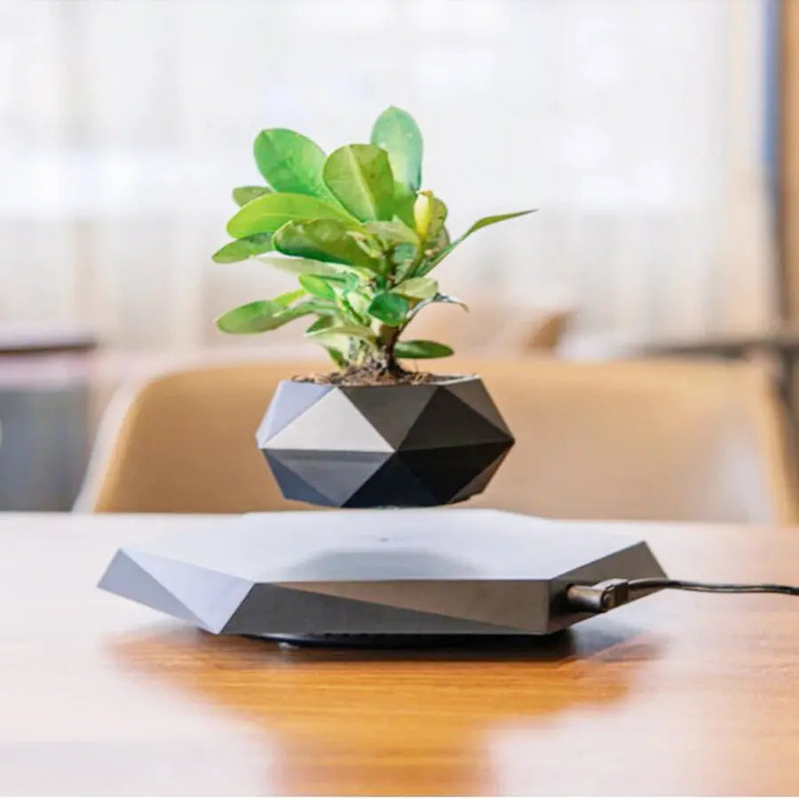 Floating Flower Pot with 360° Rotation – Artistic Home Décor
