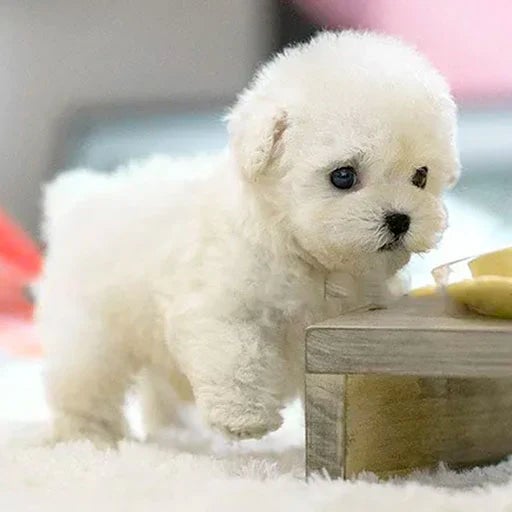 PawMate Lifelike Plush Puppy: Your Soft, Cuddly Friend