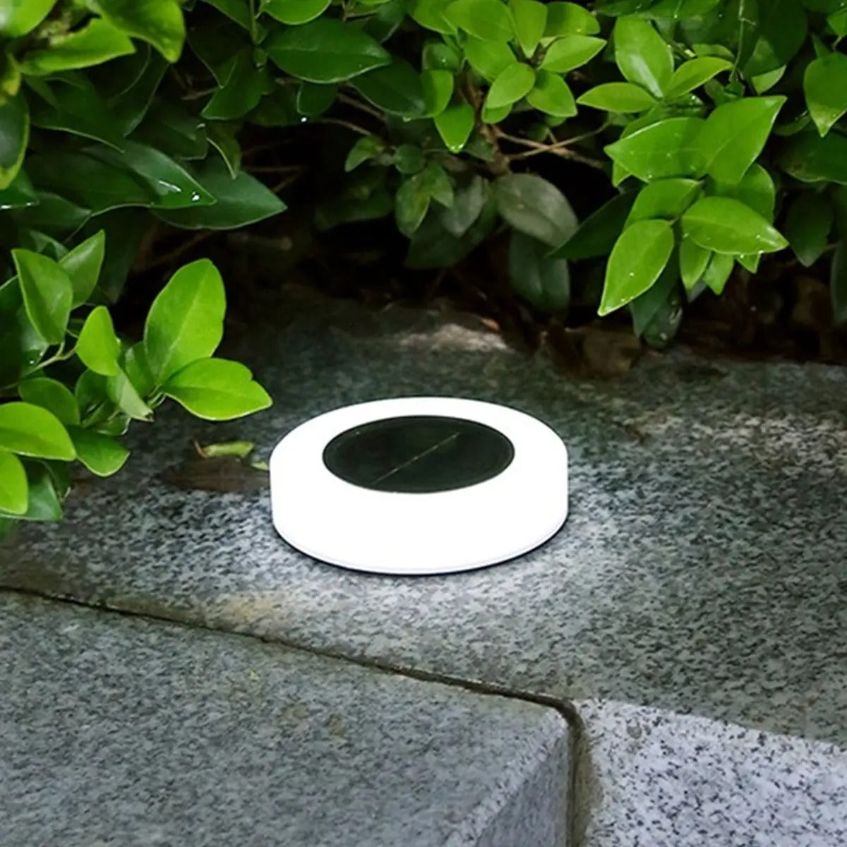 Eco-Friendly Outdoor Solar Lanterns for Stylish Illumination