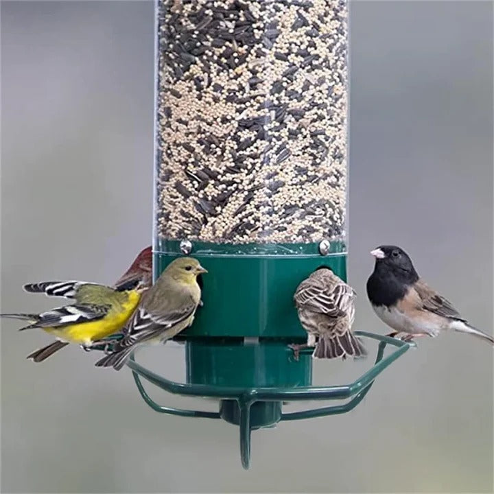 Heavy-Duty Bird Feeder with Metal Cage for Predator Protection
