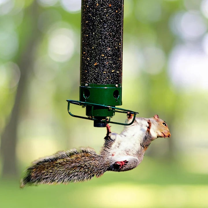 Heavy-Duty Bird Feeder with Metal Cage for Predator Protection