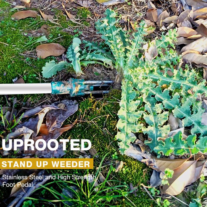 Foot Pedal Weed Remover with Triple Steel Claw Design