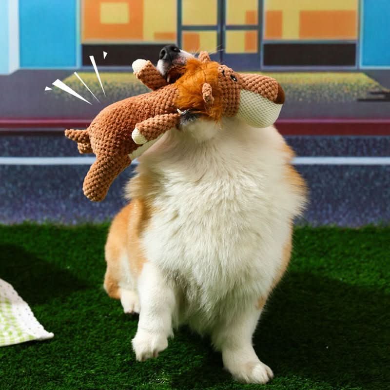 Tough Playtime Toy for Dogs of All Sizes