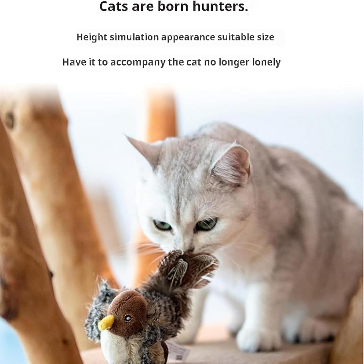 Unleash the Wild Hunt and Endless Play for Your Cat