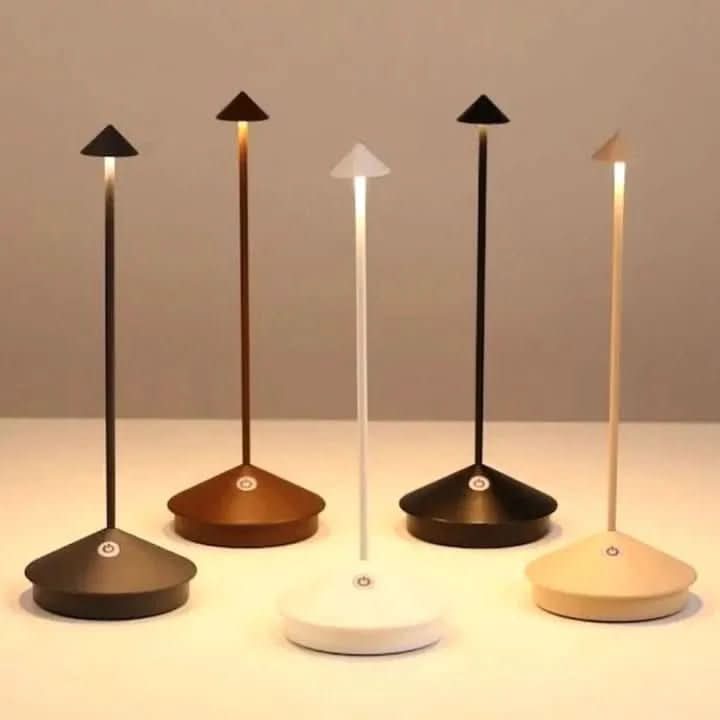 Dimmable Indoor and Outdoor Lighting for Ambience
