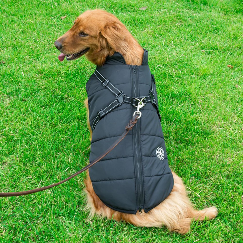 CanineGuard - Insulated Waterproof Dog Jacket with Harness Feature