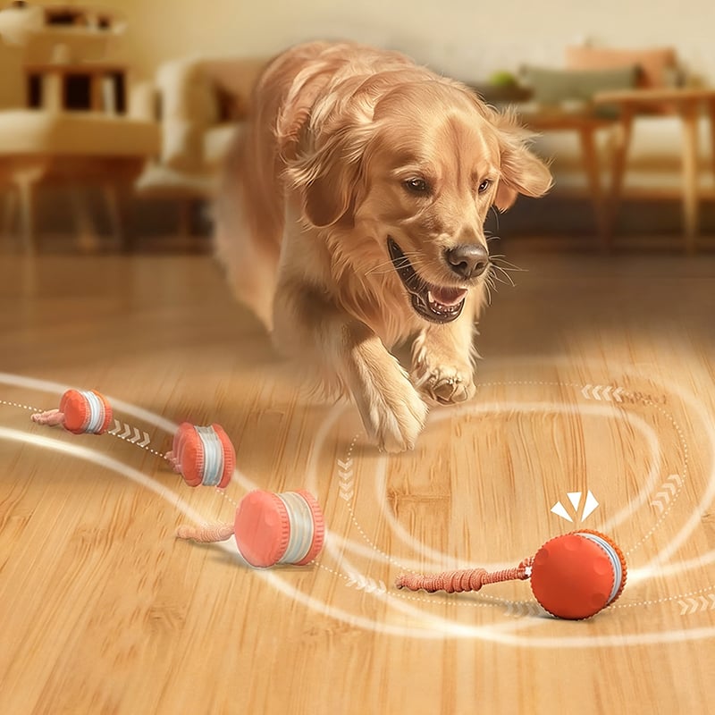 Motion-Activated Dog Toy with Dual Speed Settings
