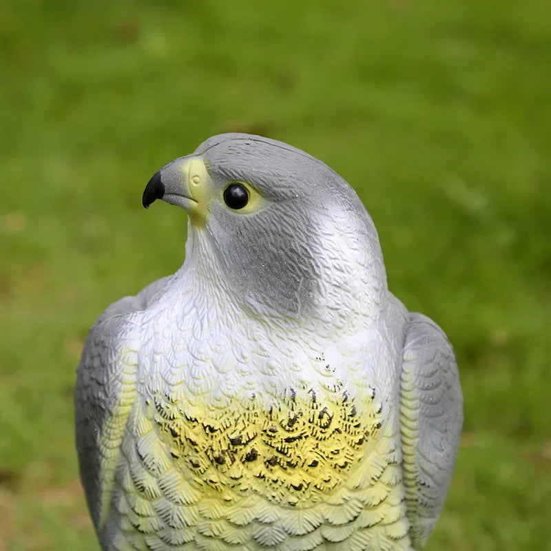 Realistic Bird of Prey Decoy for Deterring Birds
