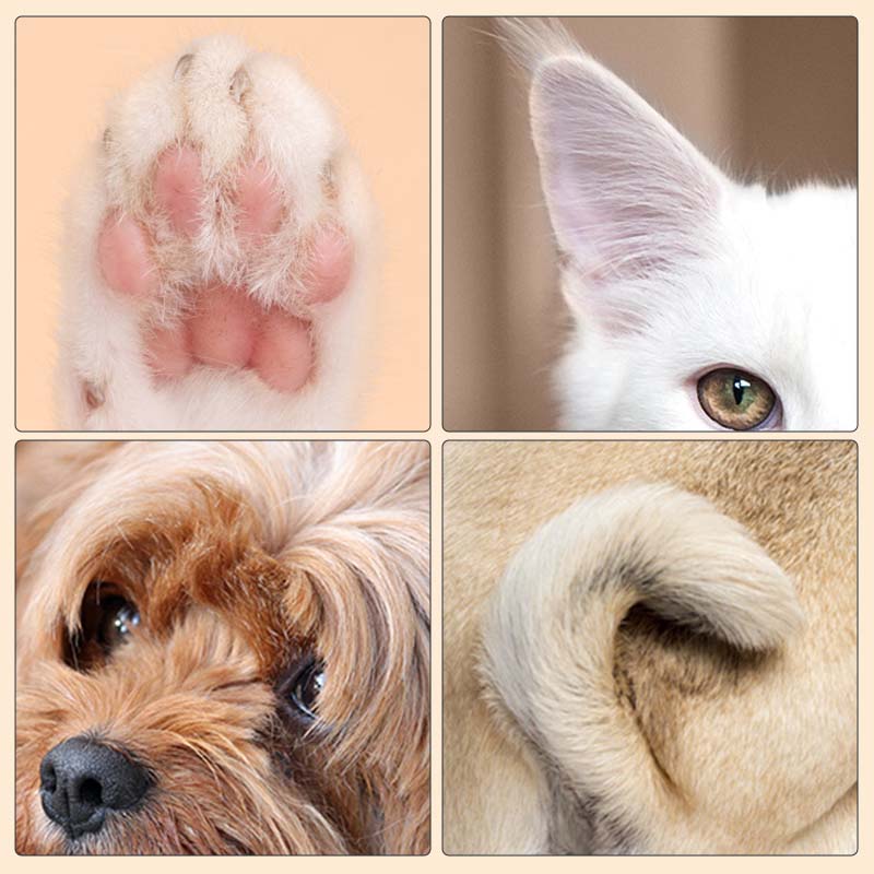 TranquilTrim™ — Turn Grooming Chaos into Calm, Quick, and Confident Cuts