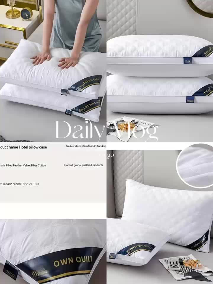 Hypoallergenic 2-Pack Pillow Set – 3D Quilted Design
