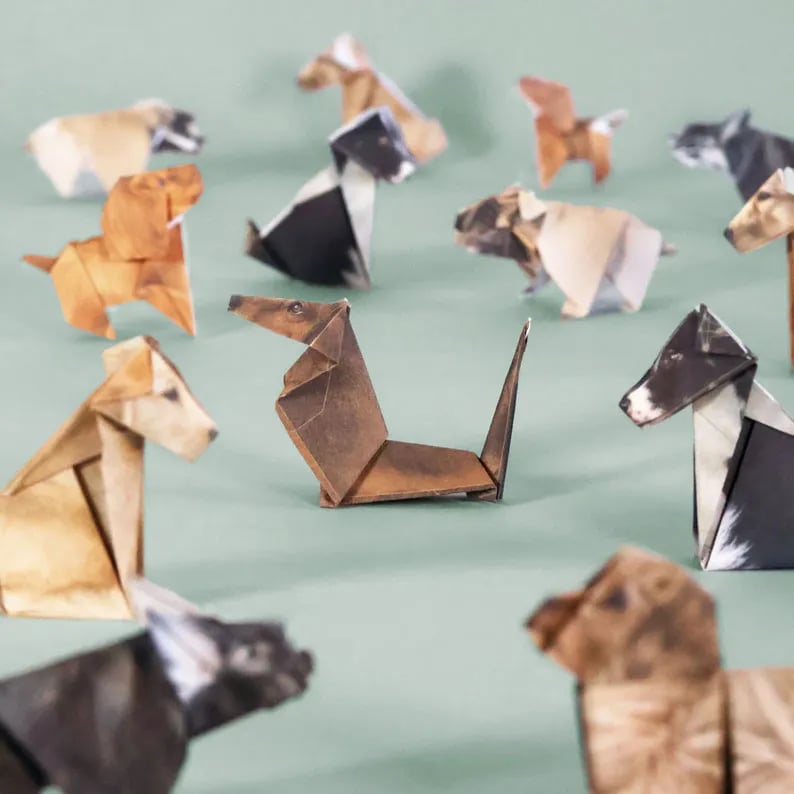 Paper Folding Craft Set – Create 50 Animal Figures