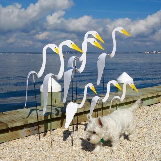 ZephyraFlare™ Swaying Flamingo — Transform Your Garden into a Mesmerizing Breeze-Powered Dance of Joy and Elegance