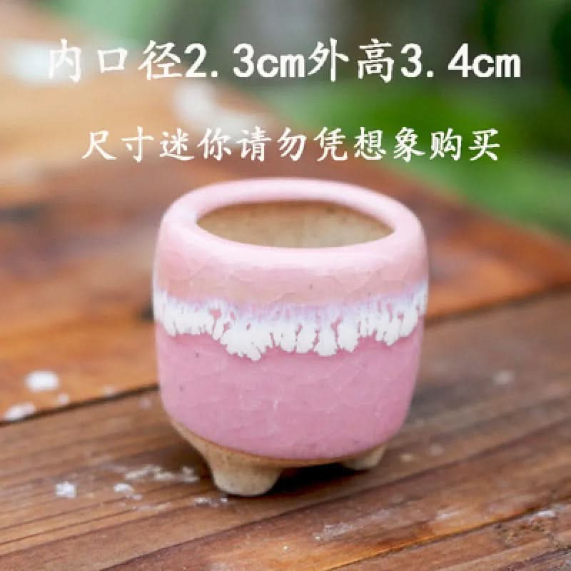 Mini Succulent Pot Set in Ceramic Material