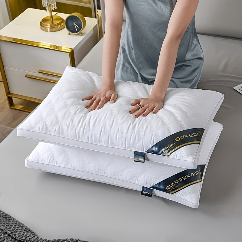 Hypoallergenic 2-Pack Pillow Set – 3D Quilted Design