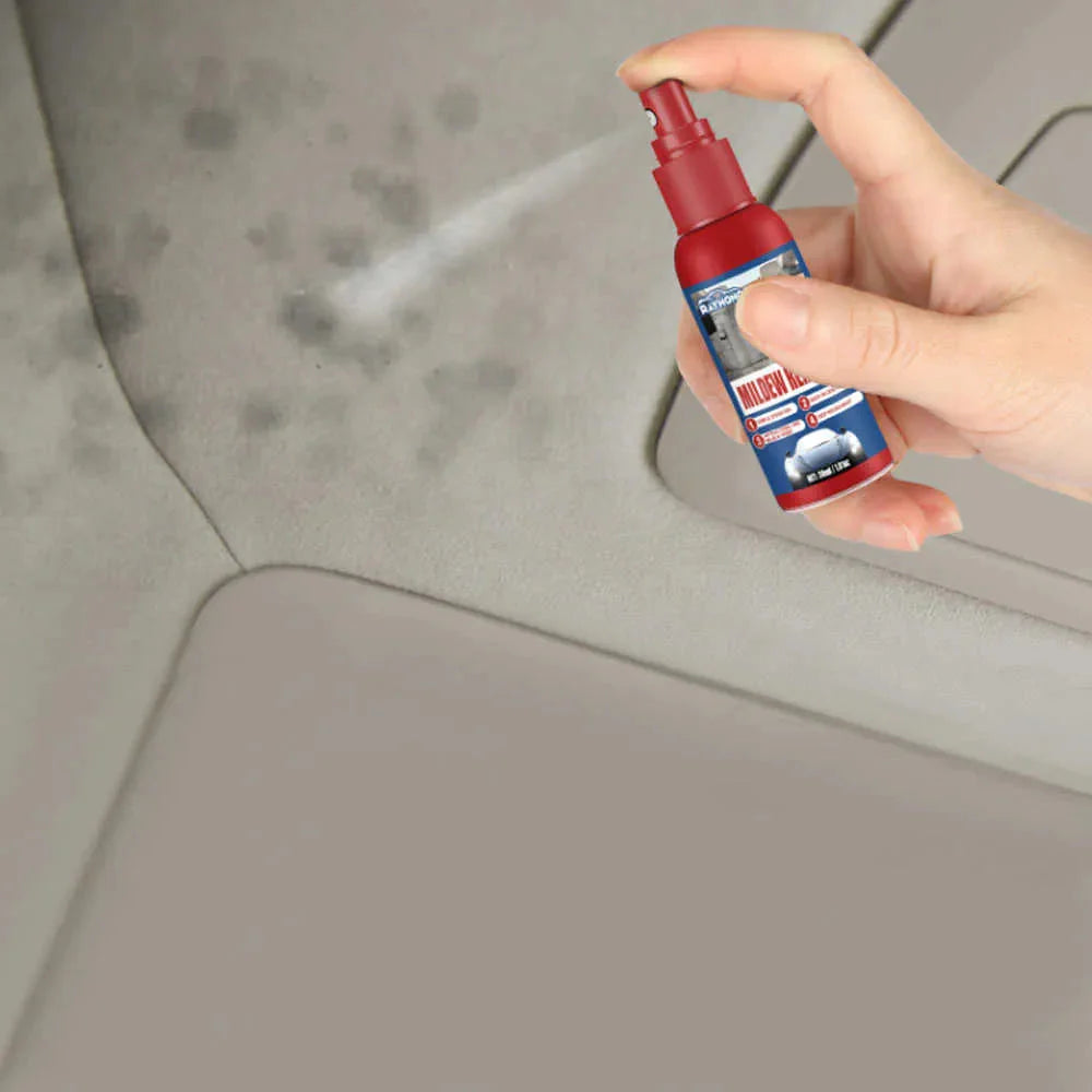 Mold Removal Spray Set of 2 – Suitable for Leather, Fabric, and Plastic