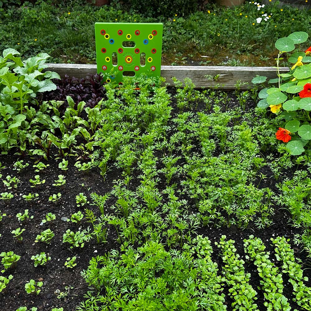 Vegetable Garden Planting Guide | Spacing Template for Herbs & Veggies | 30x30 cm with Instructions