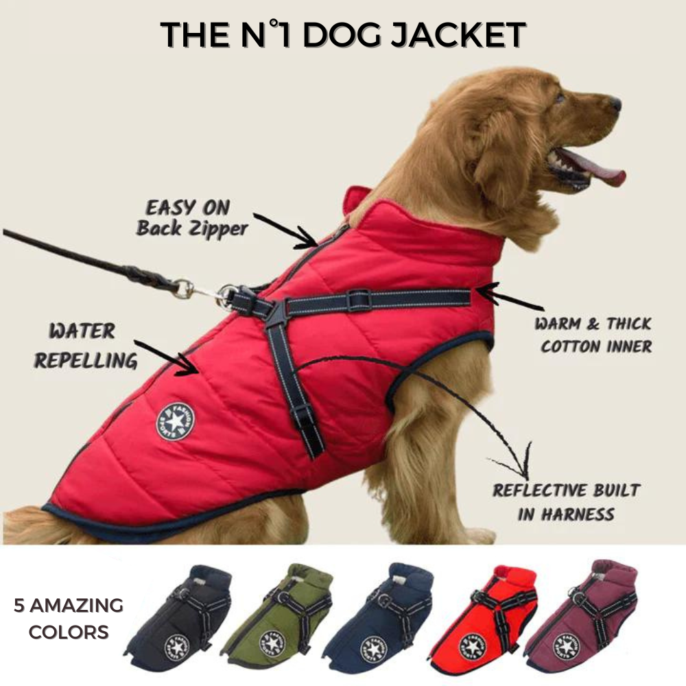 ThunderStride™ — Wrap Your Dog in Instant Warmth and Effortless Control Every Walk